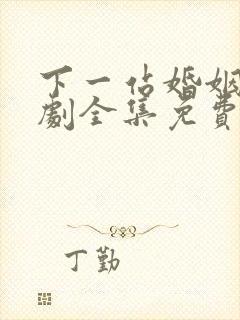 下一站婚姻电视剧全集免费观看高清封面