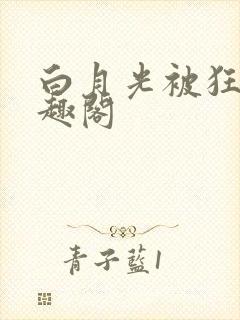 白月光被狂后笔趣阁