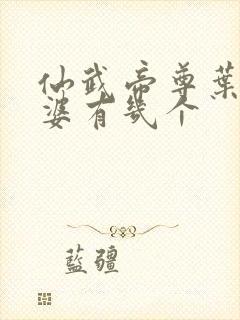 仙武帝尊叶辰老婆有几个