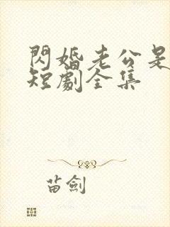 闪婚老公是豪门短剧全集封面