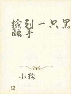 捡到一只黑心小触手