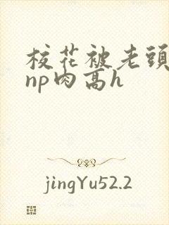 校花被老头强迫np肉高h