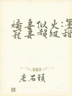 娇妻似火:墨少宠妻超级甜小说