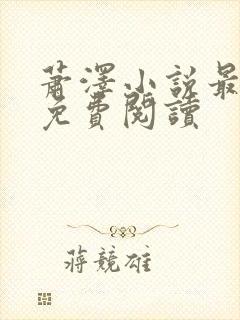 萧泽小说最新版免费阅读