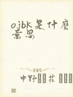 ojbk是什么意思封面