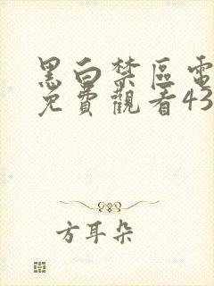 黑白禁区电视剧免费观看43集