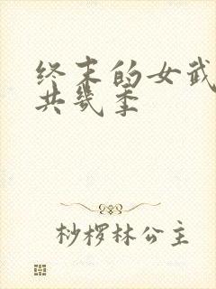 终末的女武神一共几季