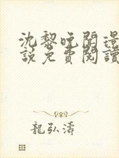 沈黎晚闻璟川小说免费阅读最新章节