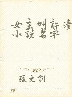 女主叫许清欢的小说名字