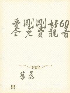 爱刚刚好60集全免费观看电视剧