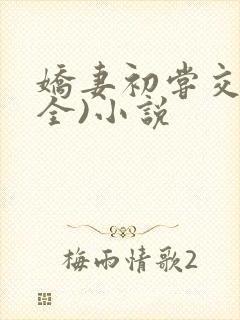 娇妻初尝交换(全)小说