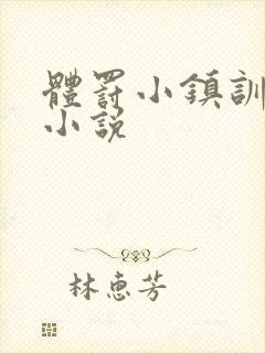 体罚小镇训诫文小说