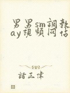 男男sm调教gay视频网站