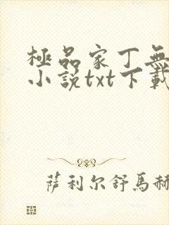 极品家丁无删减小说txt下载