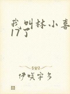我叫林小喜今年17了