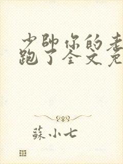 少帅你的老婆又跑了全文免费阅读