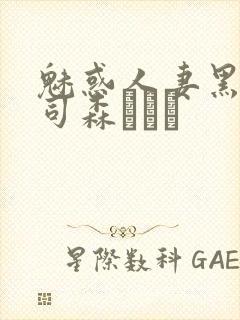 魅惑人妻黑人上司森ほたる