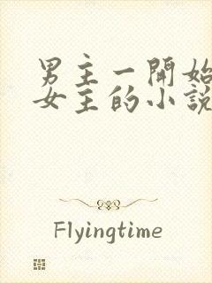 男主一开始嫌弃女主的小说