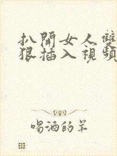 扒开女人双腿狠狠插入视频