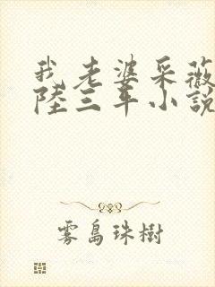 我老婆采薇养父陆三平小说在人间