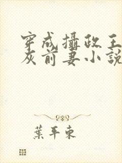 穿成摄政王的炮灰前妻小说