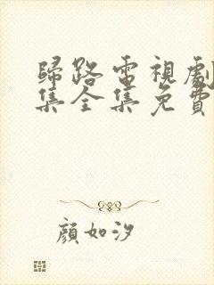 归路电视剧30集全集免费观看封面