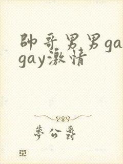 帅哥男男gaygay激情