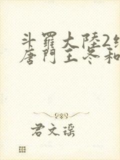 斗罗大陆2绝世唐门王冬和霍雨浩封面