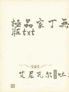 极品家丁无删减版txt