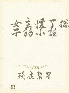 女主怀了总裁孩子的小说