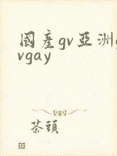 国产gv亚洲gvgay