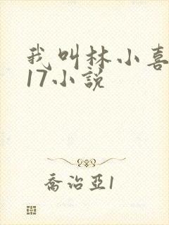 我叫林小喜今年17小说封面