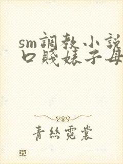 sm调教小说重口贱婊子母狗