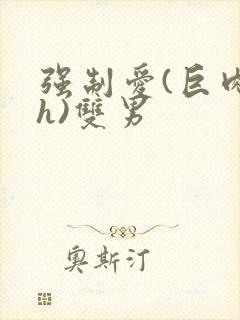 强制爱(巨肉高h)双男