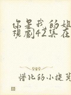 你是我的姐妹电视剧42集在线播放