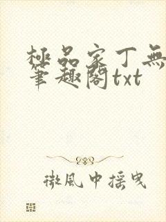 极品家丁无删节笔趣阁txt