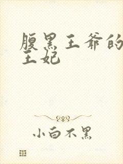 腹黑王爷的财迷王妃封面