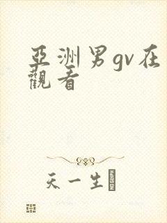 亚洲男gv在线观看
