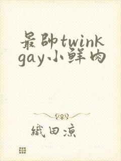 最帅twinkgay小鲜肉