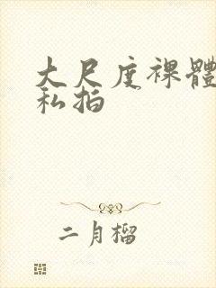 大尺度裸体国模私拍封面