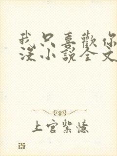 我只喜欢你的人没小说全文免费阅读封面