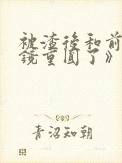 被渣后和前夫破镜重圆了》作者:画七