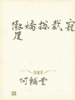 傲娇总裁宠妻无度