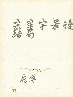 宋宁宇最后什么结局