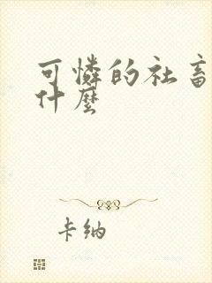 可怜的社畜讲的什么