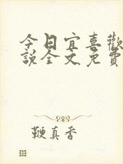 今日宜喜欢你小说全文免费阅读封面