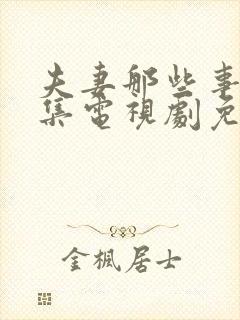 夫妻那些事40集电视剧免费播放