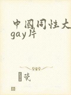 中国同性大尺度gay片