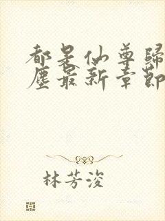 都是仙尊归来洛尘最新章节