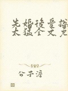 先婚后爱总裁别太猛全文免费阅读封面